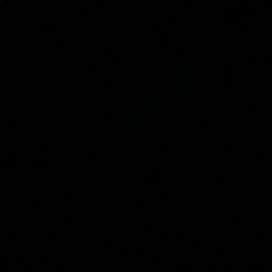 Meet your Posher, Payton